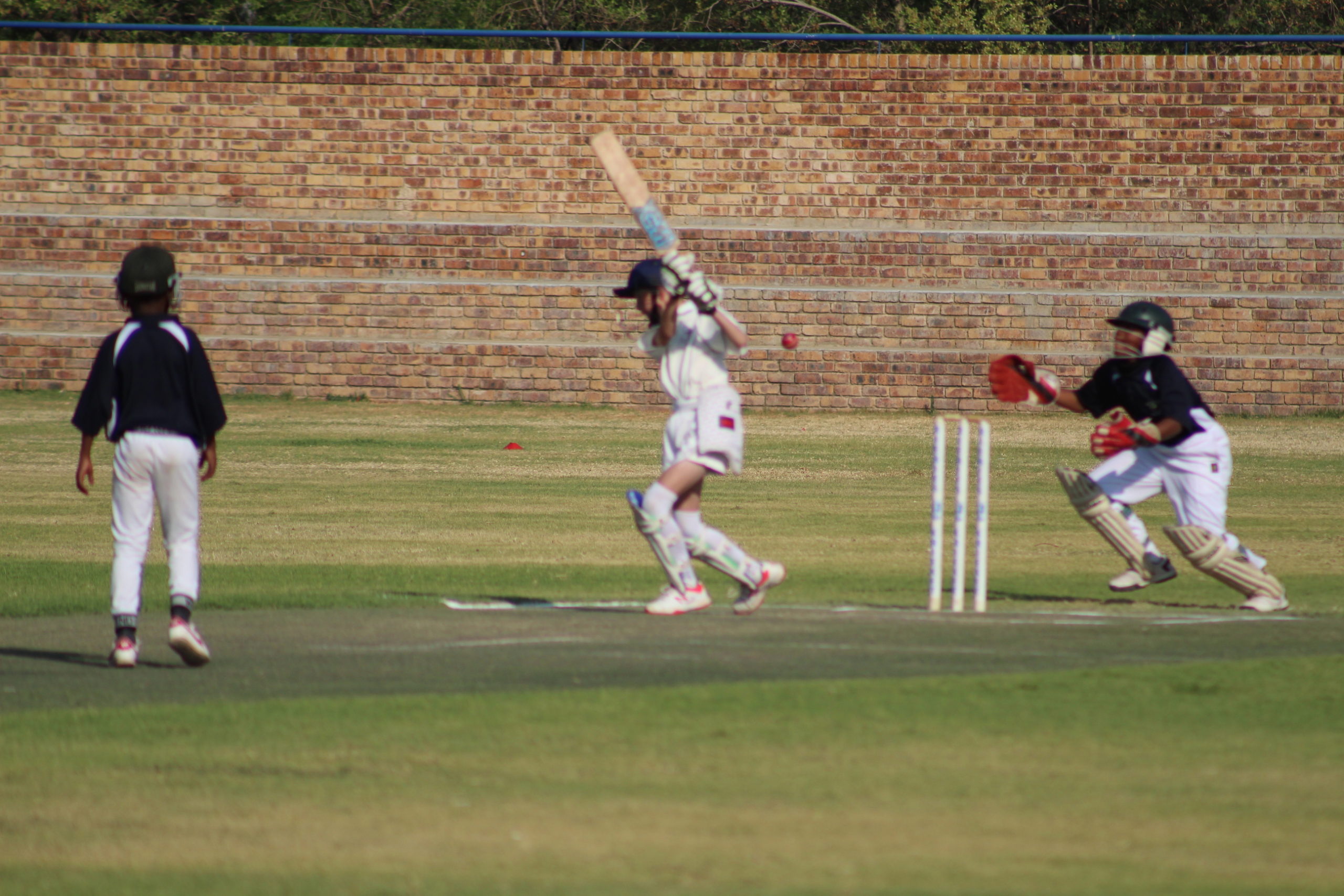 MCS CRICKET