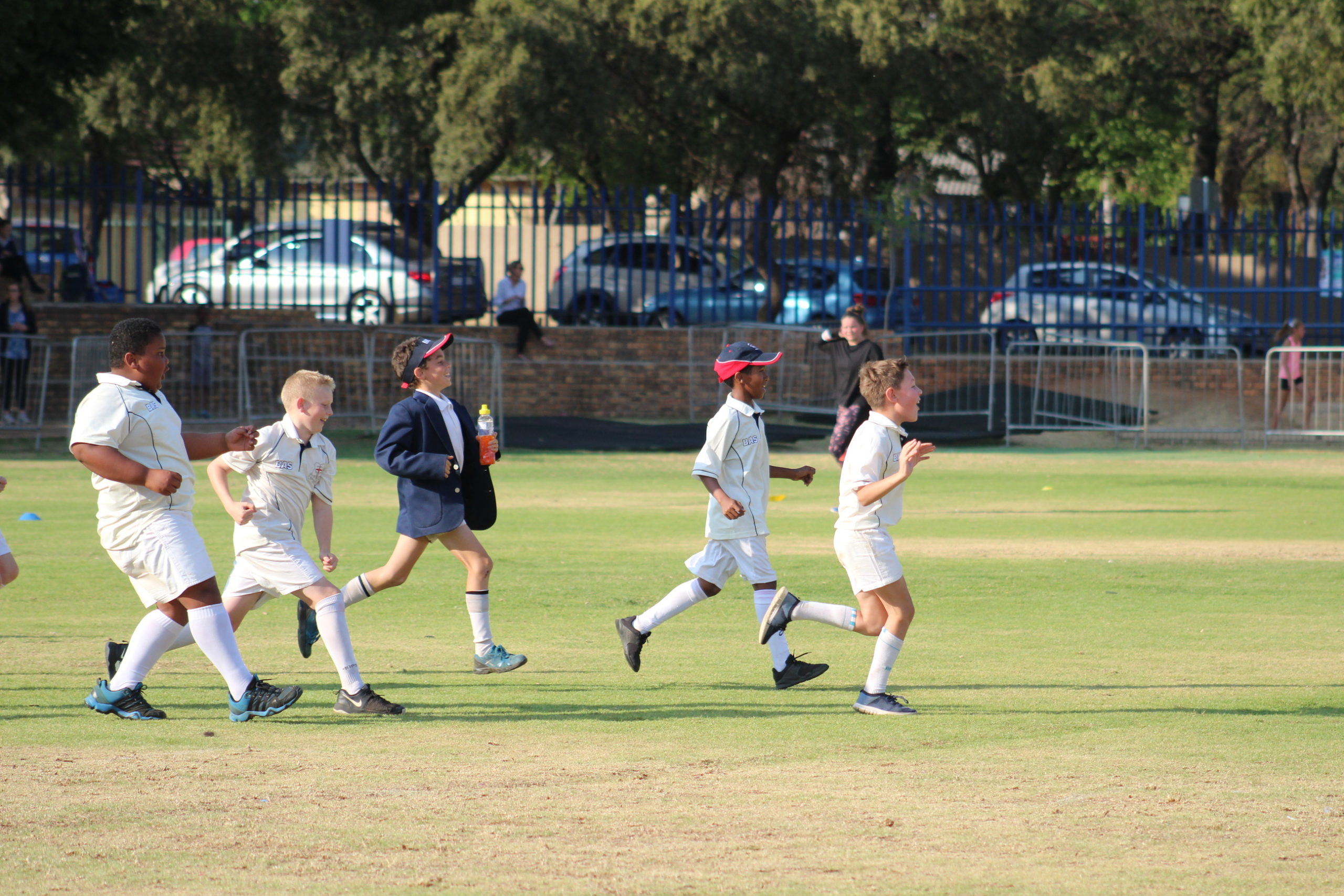MCS U/11 CRICKET